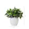 11" Artificial Boxwood Plant with Decorative Planter